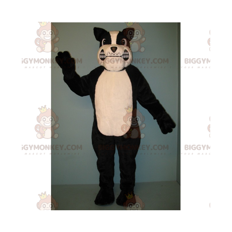 Costume mascotte BIGGYMONKEY™ Pit Bull rabbioso bianco e nero -