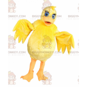 Traje de mascote BIGGYMONKEY™ Pintinho Amarelo de Olhos Azuis –