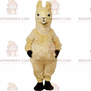 Sun BIGGYMONKEY™ Mascot Costume In Sportswear – Biggymonkey.com