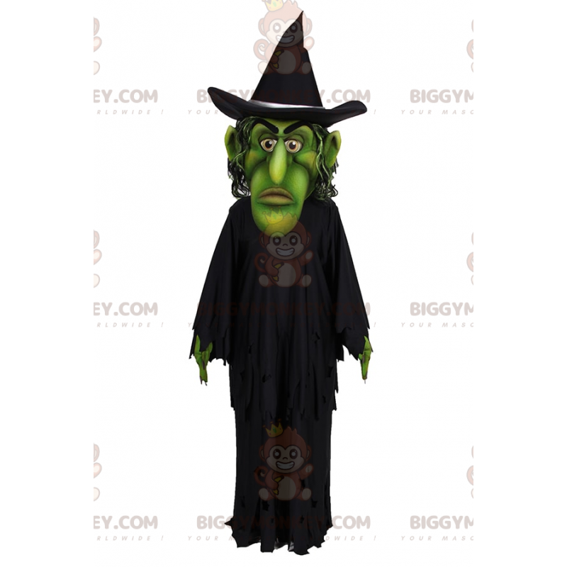 Green Face Witch BIGGYMONKEY™ maskottiasu - Biggymonkey.com