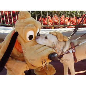 Fato de mascote Myckey Mouse famoso cão Plutão BIGGYMONKEY™ –