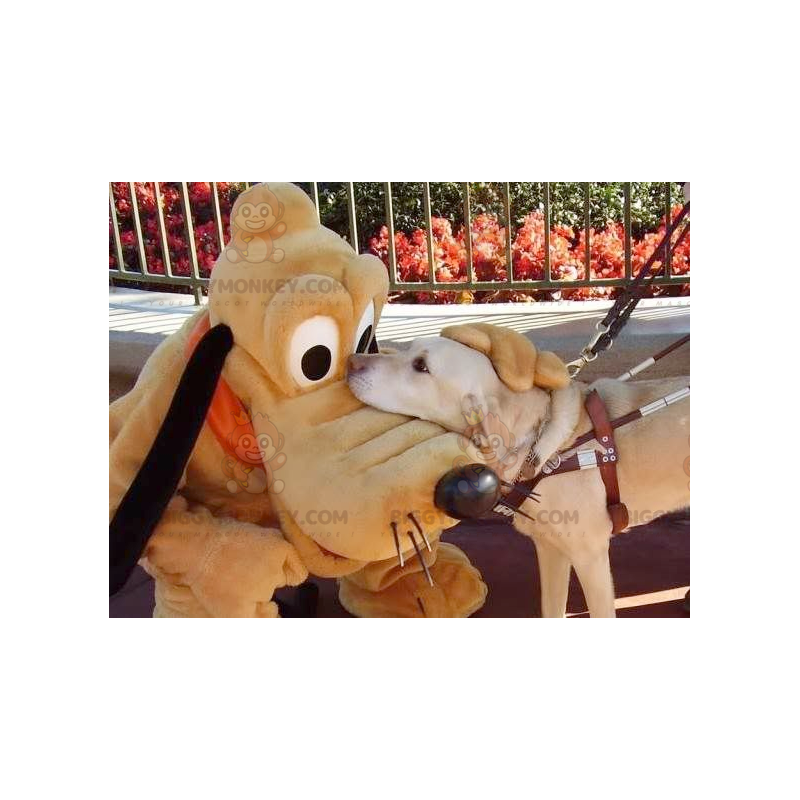 Costume de mascotte BIGGYMONKEY™ de Pluto chien de Myckey Mouse