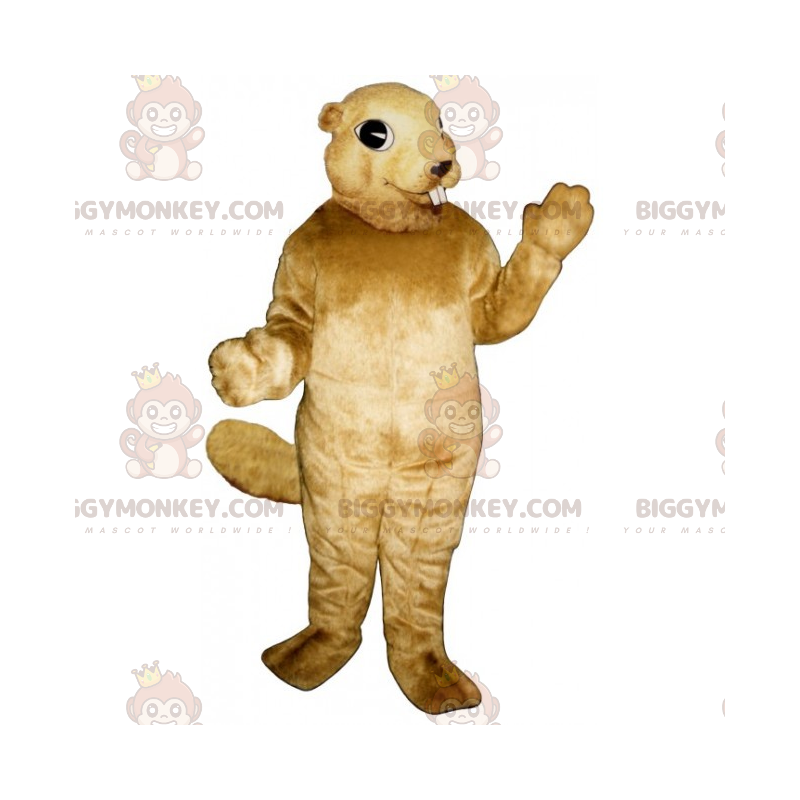 BIGGYMONKEY™ Little Eared Eichhörnchen-Maskottchen-Kostüm -