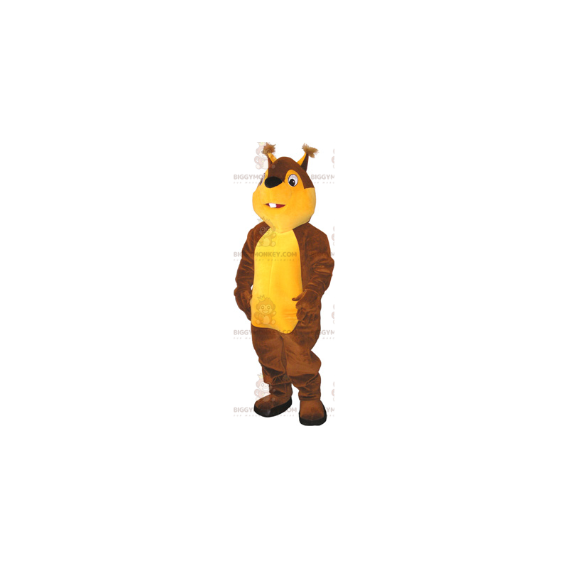 Tweekleurige eekhoorn BIGGYMONKEY™ mascottekostuum -