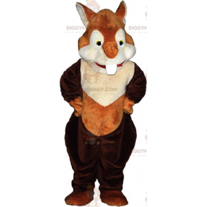 BIGGYMONKEY™ Red Squirrel -maskottiasu - Biggymonkey.com