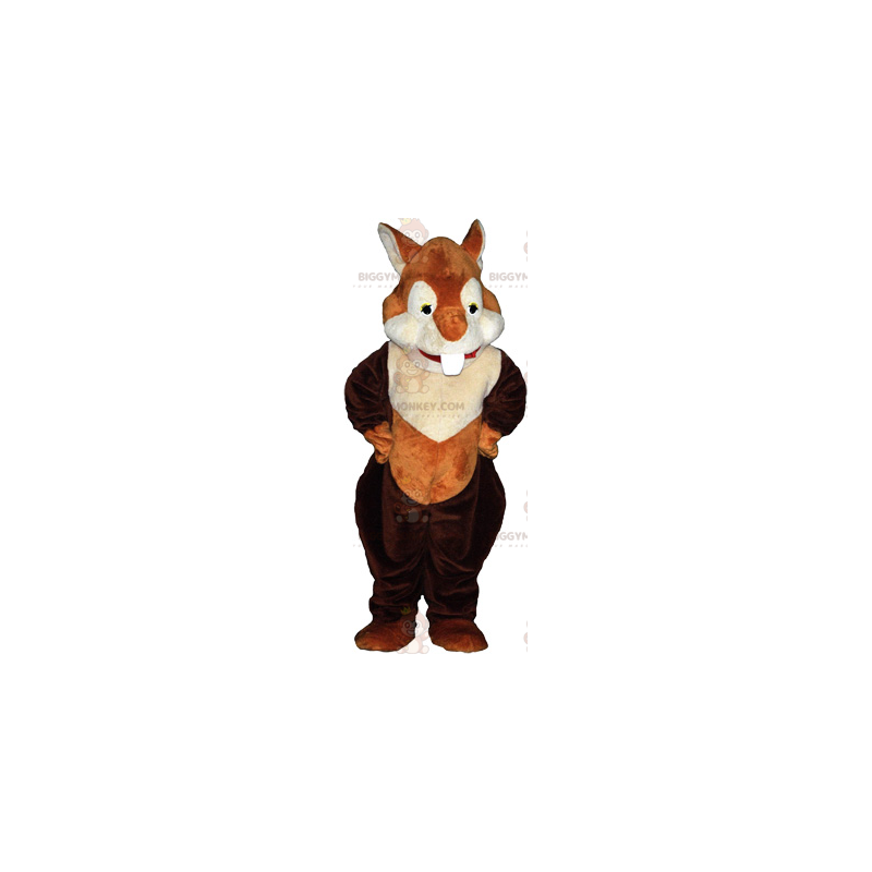 BIGGYMONKEY™ Red Squirrel Mascot Costume – Biggymonkey.com