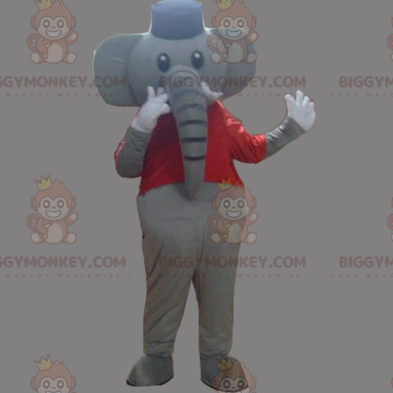 Elephant BIGGYMONKEY™ maskottiasu T-paidalla ja hatulla -