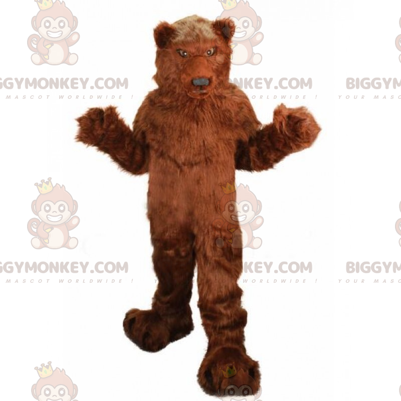 Klassisches Bär BIGGYMONKEY™ Maskottchenkostüm - Biggymonkey.com