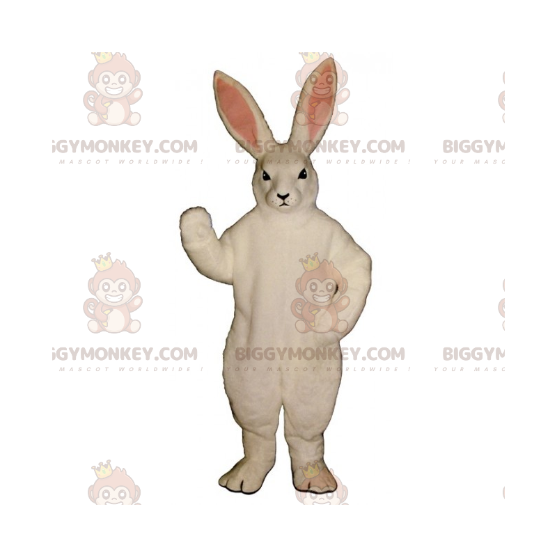 BIGGYMONKEY™ White Rabbit -maskottiasu - Biggymonkey.com