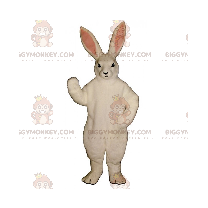 BIGGYMONKEY™ wit konijn mascotte kostuum - Biggymonkey.com