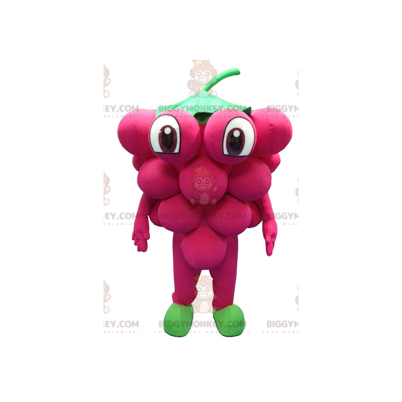 Giant Bunch of Grapes BIGGYMONKEY™ Mascot Costume –