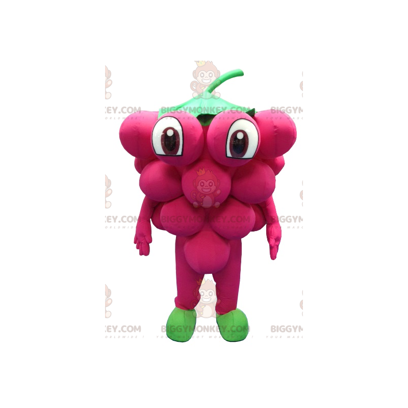 Traje de mascote gigante do cacho de uvas BIGGYMONKEY™ –