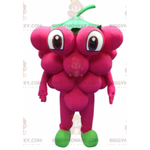 Costume da mascotte del grappolo d'uva gigante BIGGYMONKEY™ -