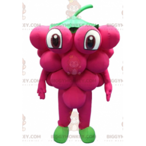 Kostium maskotka Giant Bunch of Grapes BIGGYMONKEY™ -
