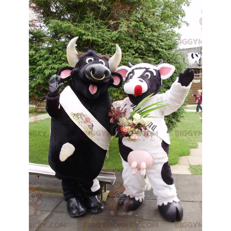 2 BIGGYMONKEY™s mascot a black bull and a black and white cow –