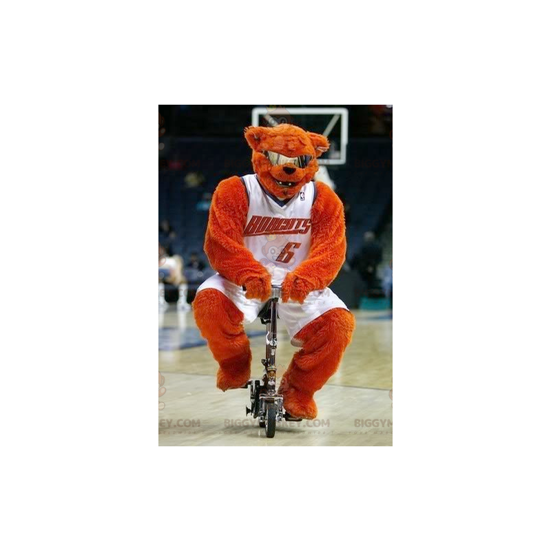 Orange Bear BIGGYMONKEY™ maskottiasu lasilla koripalloasussa -
