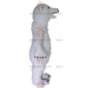 Costume da mascotte BIGGYMONKEY™ dell'orso polare bianco molto