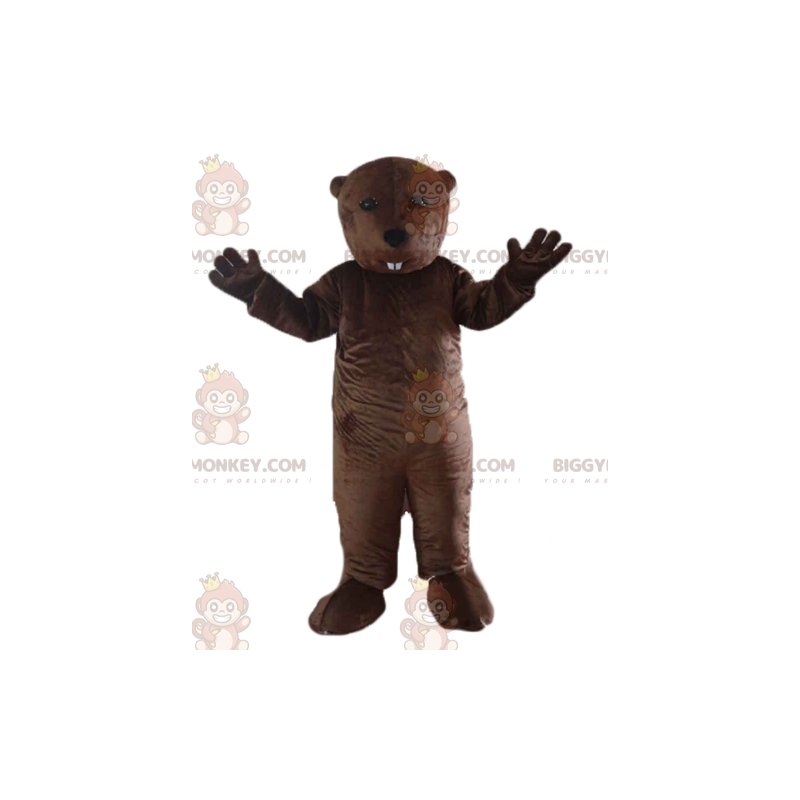 Gnagare Brown Beaver Groundhog BIGGYMONKEY™ maskotdräkt -