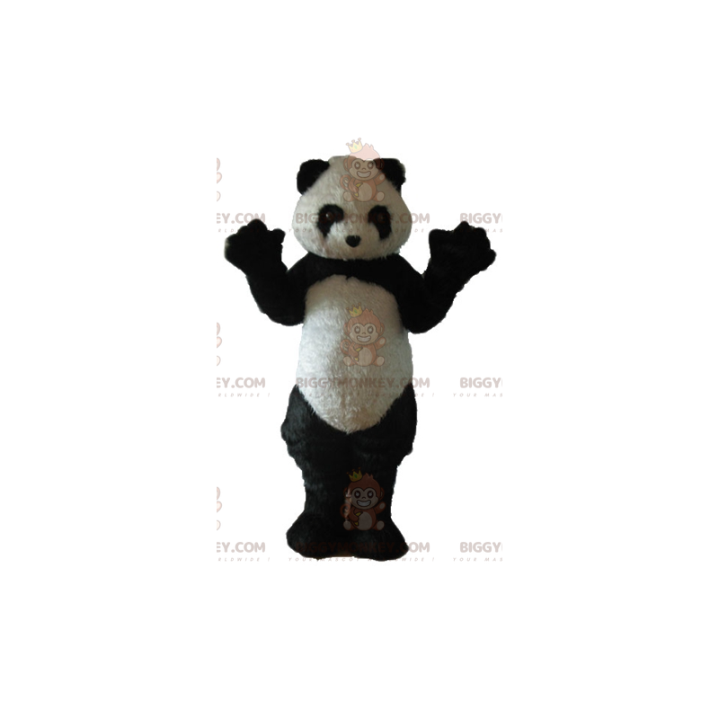 Helt hårig svart och vit panda BIGGYMONKEY™ maskotdräkt -