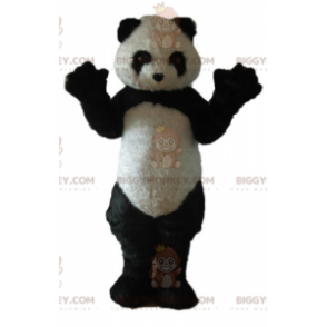 Kostium maskotka w całości włochatej czarno-białej pandy