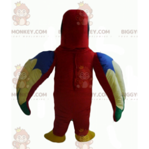 Cute Red Green Blue and Yellow Parrot BIGGYMONKEY™ Mascot