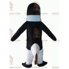 Mustavalkoinen pingviini BIGGYMONKEY™ maskottiasu sinisellä