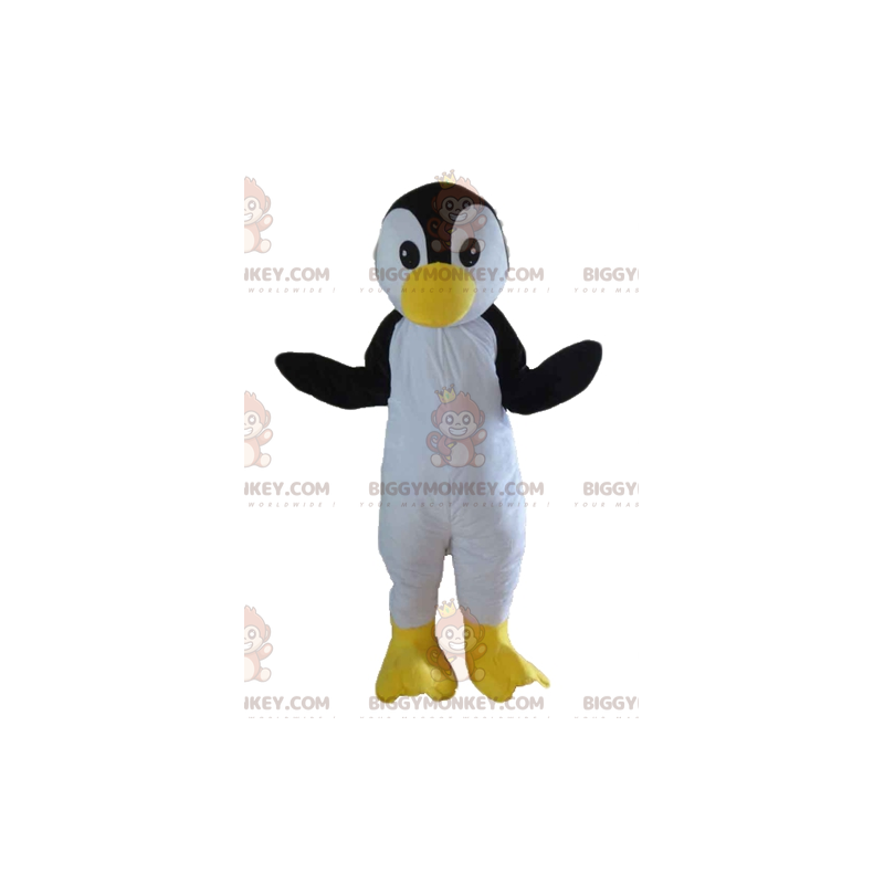 Kostým maskota tučňáka, černého bílého a žlutého ptáka