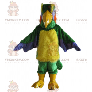 Fantasia de mascote de pássaro gigante peludo multicolorido