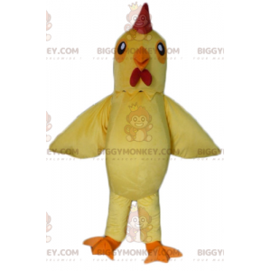 Στολή μασκότ Giant Rooster Yellow and Red Hen BIGGYMONKEY™ -