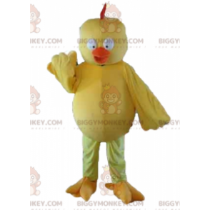 BIGGYMONKEY™ Big Fat Geel-oranje Chick Mollig en schattig