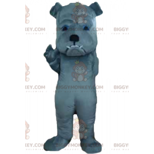 Costume de mascotte BIGGYMONKEY™ de chien gris à l'air farouche