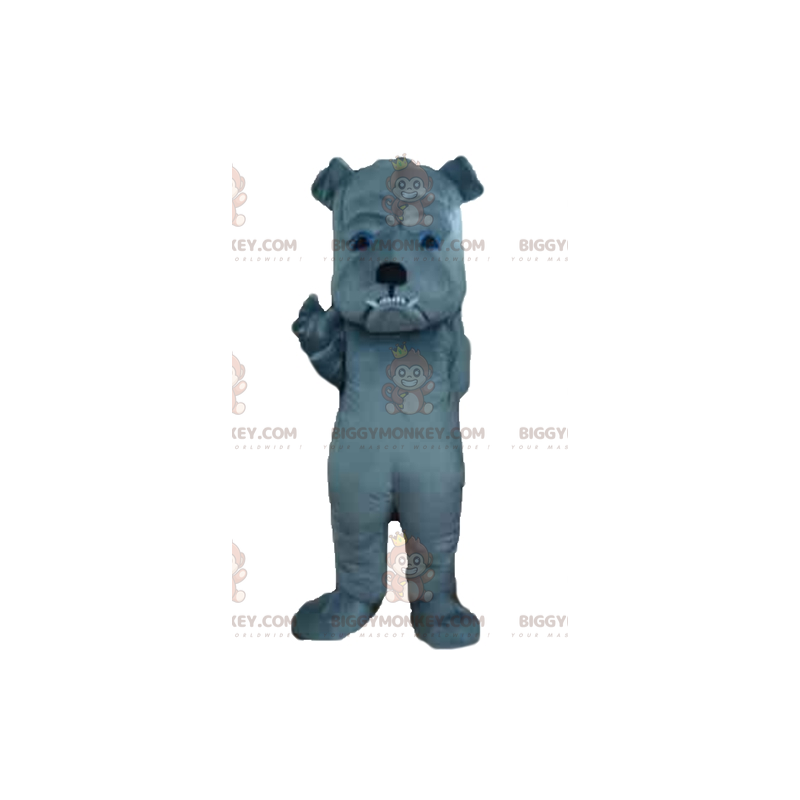 Costume de mascotte BIGGYMONKEY™ de chien gris à l'air farouche