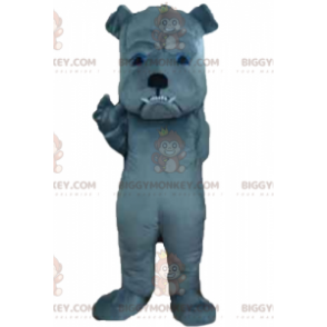 Wild aussehender grauer Hund BIGGYMONKEY™ Maskottchen-Kostüm -