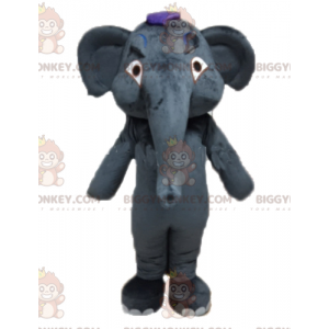 Costume de mascotte BIGGYMONKEY™ d'éléphant gris géant et