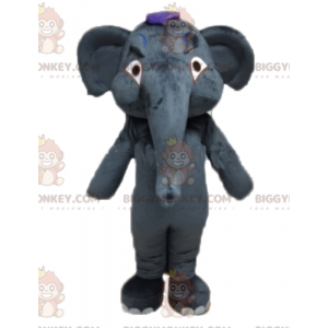 Jätte grå elefant BIGGYMONKEY™ maskotdräkt helt anpassningsbar