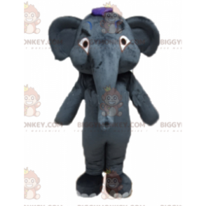 Costume de mascotte BIGGYMONKEY™ d'éléphant gris géant et