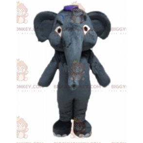 Giant Grey Elephant BIGGYMONKEY™ maskottipuku täysin