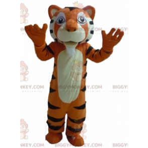 Highly Successful Giant Orange White and Black Tiger