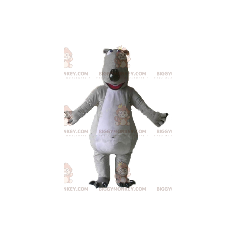 Costume da mascotte gigante e impressionante orso grigio e