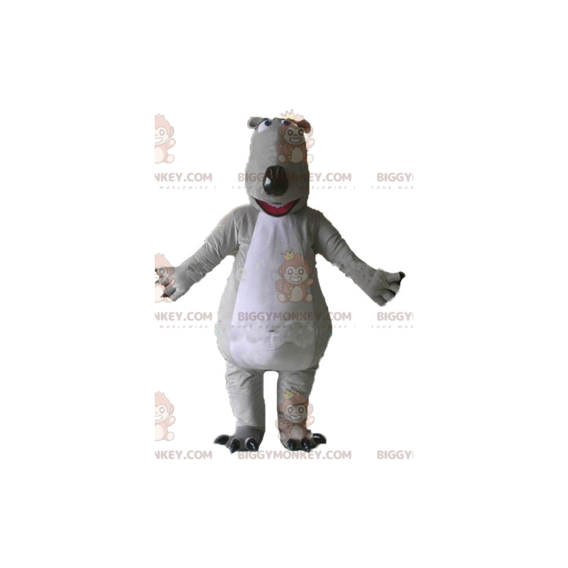 Costume de mascotte BIGGYMONKEY™ d'ours gris et blanc géant et