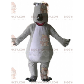 Costume da mascotte gigante e impressionante orso grigio e