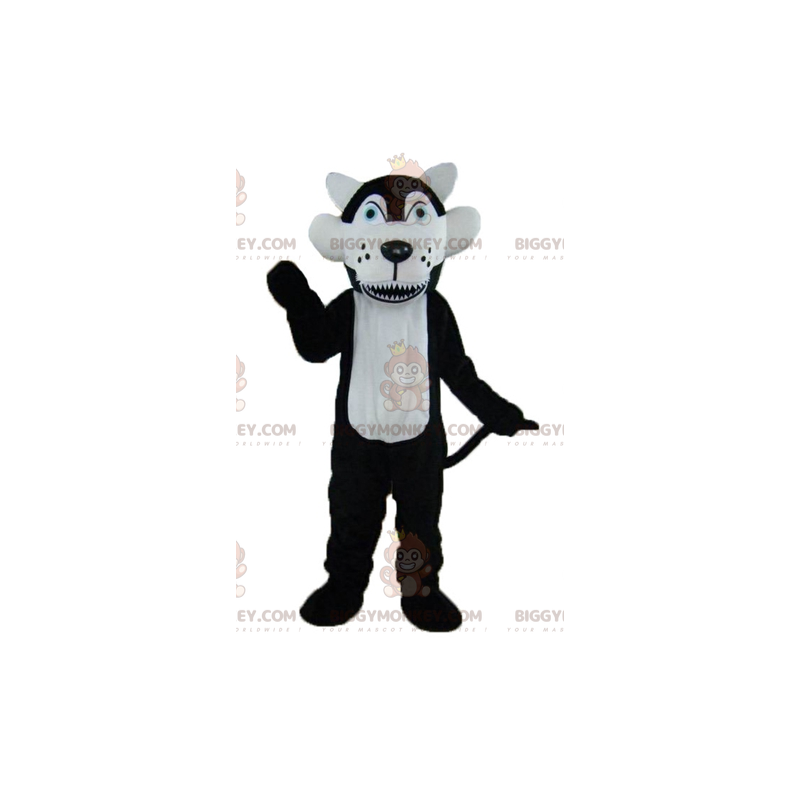 Traje de mascote de lobo preto e branco de olhos azuis