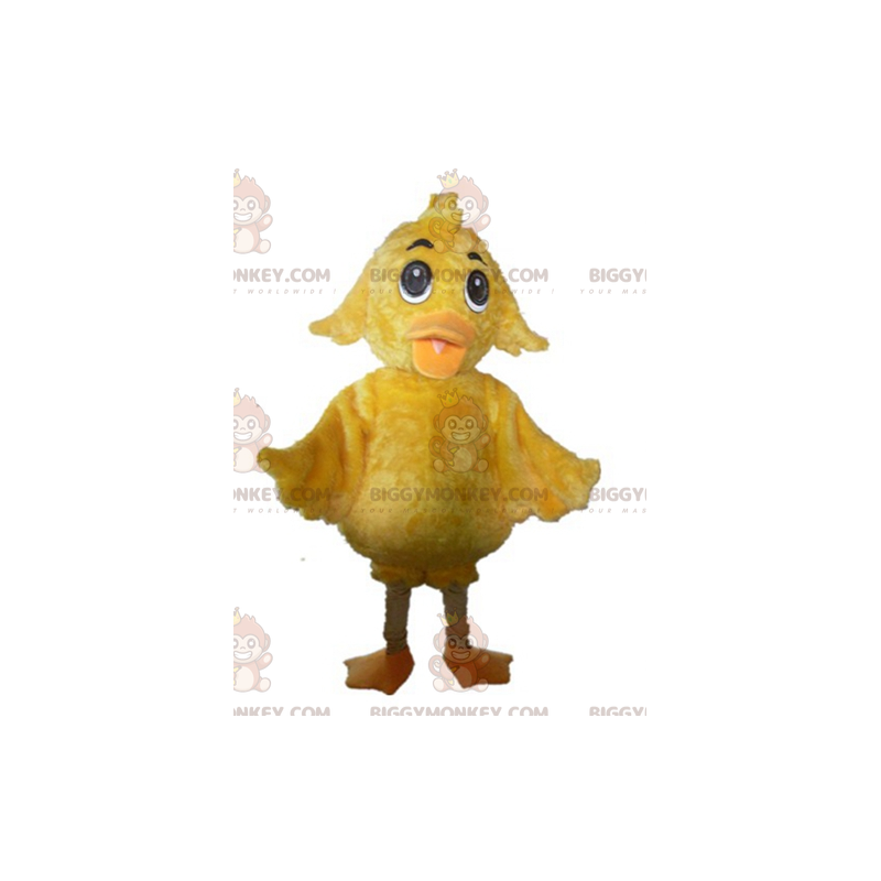 Costume de mascotte BIGGYMONKEY™ de poussin jaune géant doux et