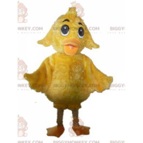 Costume de mascotte BIGGYMONKEY™ de poussin jaune géant doux et