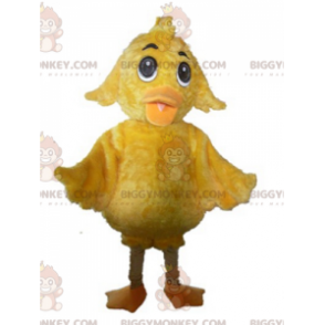 Měkký a roztomilý kostým maskota obřího žlutého kuřátka