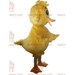 Costume de mascotte BIGGYMONKEY™ de poussin jaune géant doux et