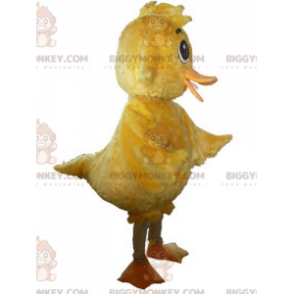 Disfraz de mascota BIGGYMONKEY™ de pollito amarillo gigante