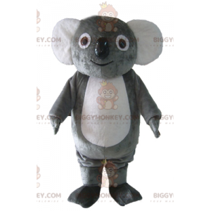 Traje de mascote de coala cinza e branco macio e engraçado