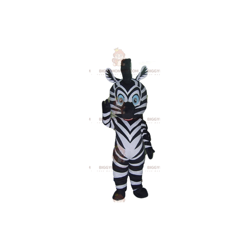 Blue Eyes Black and White Zebra BIGGYMONKEY™ maskottiasu -