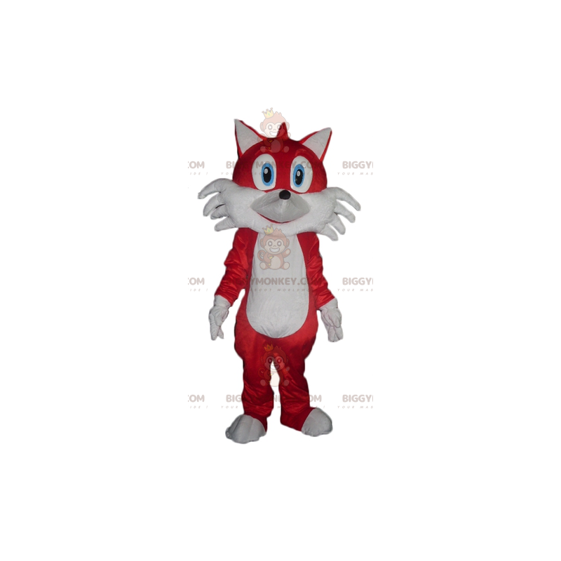 Disfraz de mascota de zorro rojo y blanco de ojos azules